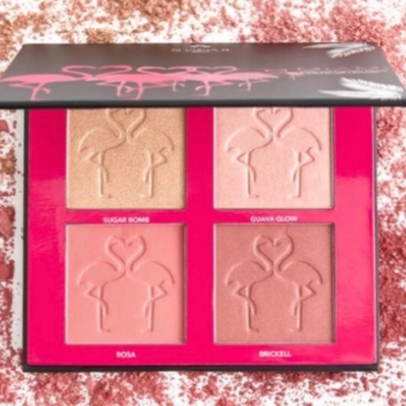 Shaina B. Miami Other - Shaina B. Miami Blush and Highlight Mini Palette - New In Box